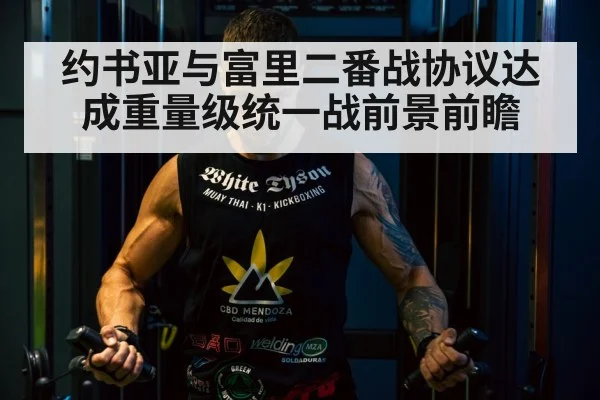 约书亚与富里二番战协议达成重量级统一战前景前瞻