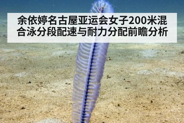 余依婷名古屋亚运会女子200米混合泳分段配速与耐力分配前瞻分析